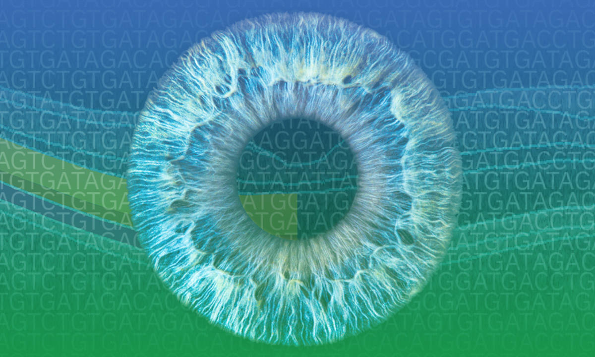 Naukowcy ujawniają nowe spostrzeżenia na temat rzadkich chorób oczu