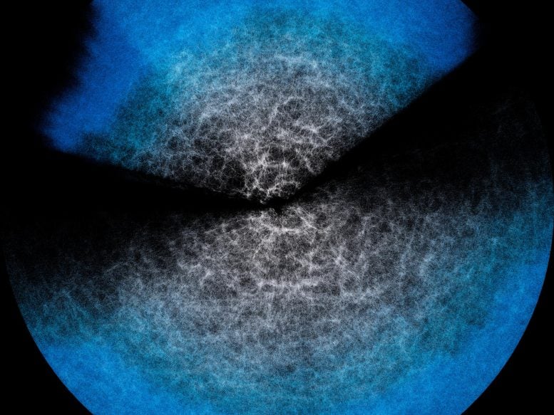 Large-Scale Structure of the Universe