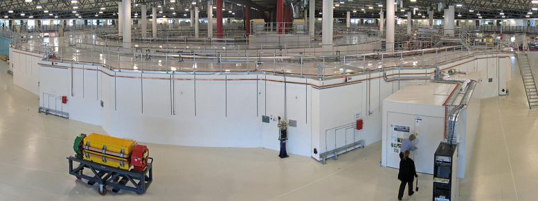 Large Synchotron X-Ray Facilities