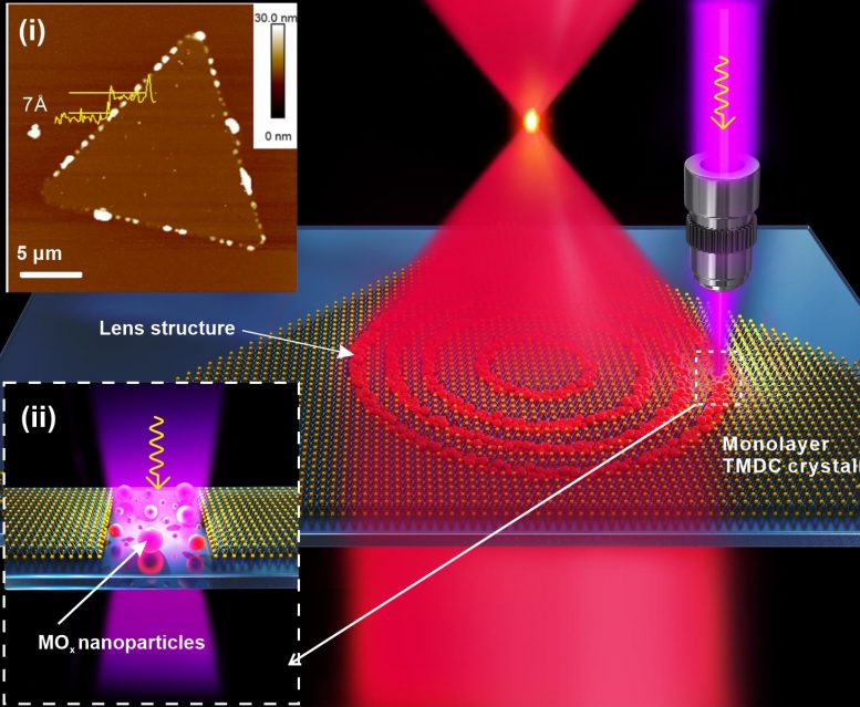Laser Fabrication of Flat Lenses in Monolayer TMDC Materials