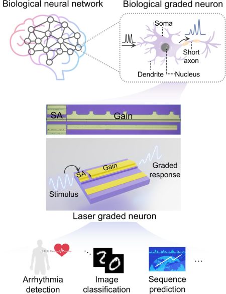 A Billion Times Faster: Laser Neurons Ignite the Future of AI