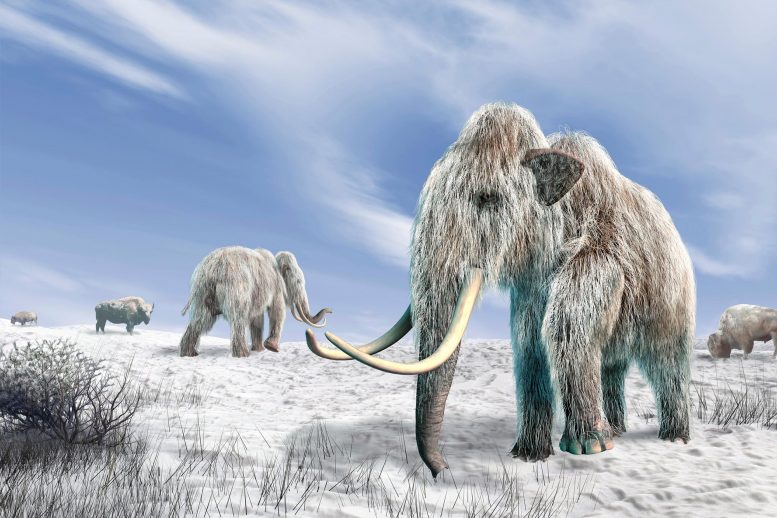 Last Woolly Mammoths Lived on Wrangel Island