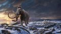 Last Wrangel Mammoth