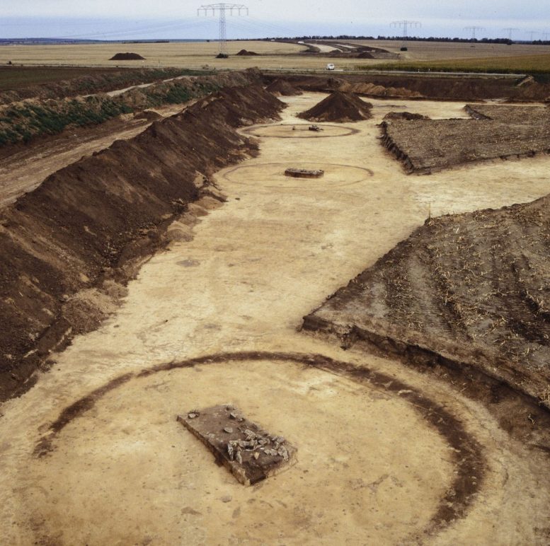 Late Bronze Age Circular Ditches Near Esperstedt