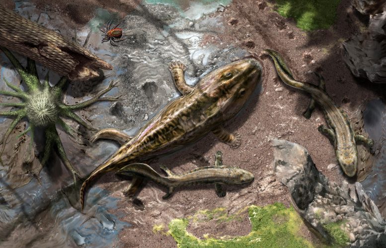 Late Devonian Early Tetrapods
