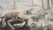 Late Permian Pareiasaurs