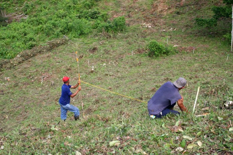 Laying Out Plots on Recently Abandoned Pasture