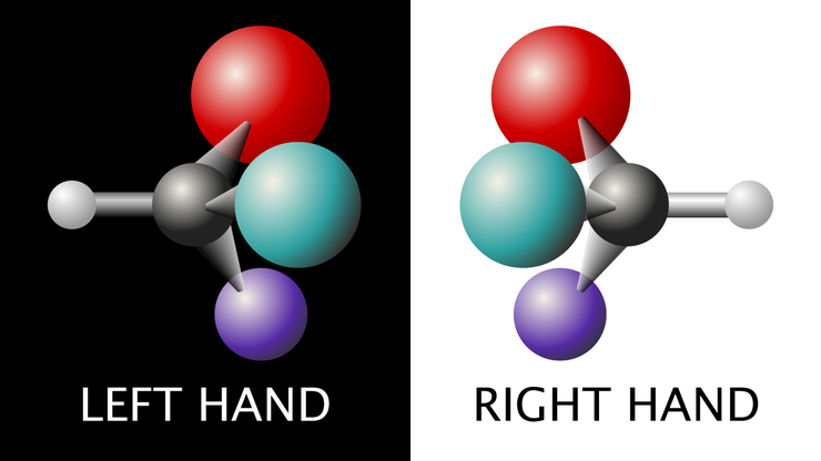 Left Right Hands Amino Acid