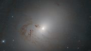 Lenticular Galaxy NGC 2655