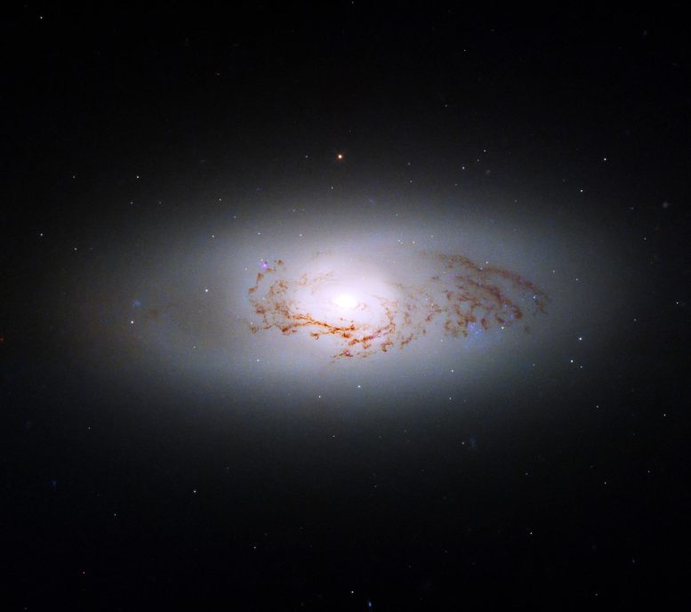Lenticular Galaxy NGC 3489