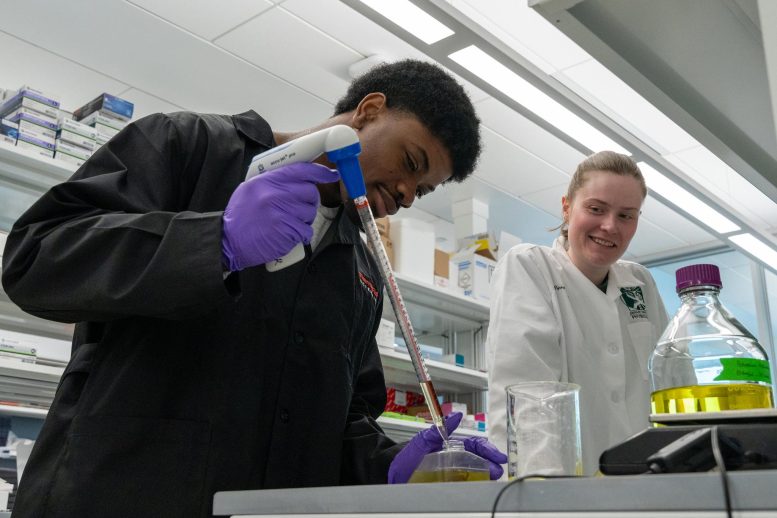 Leon Johnson and Alice McQueney