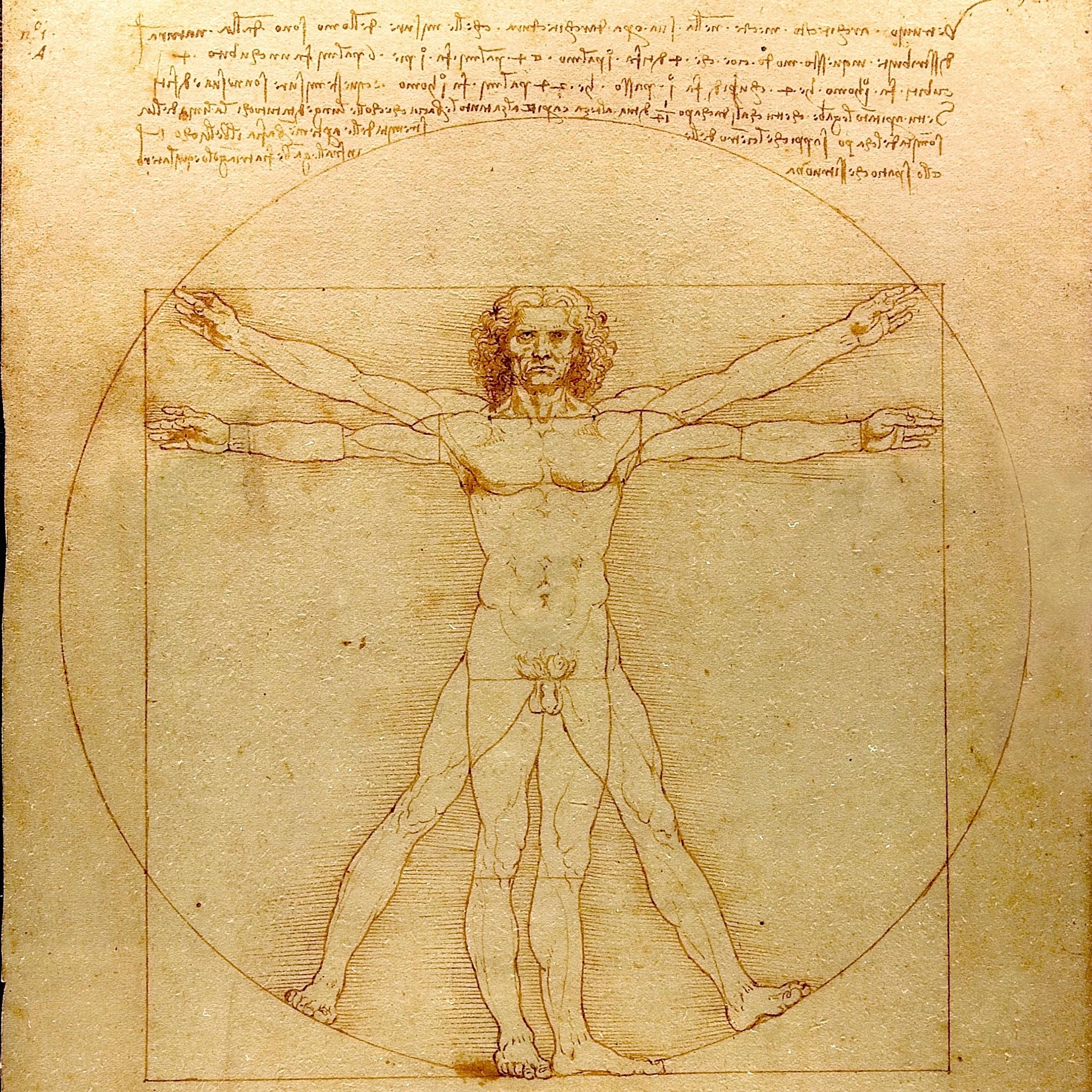 Surprising Results of a Decade-Long Investigation Search for Leonardo da Vinci's DNA