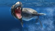 Leopard Seal Underwater Illustration