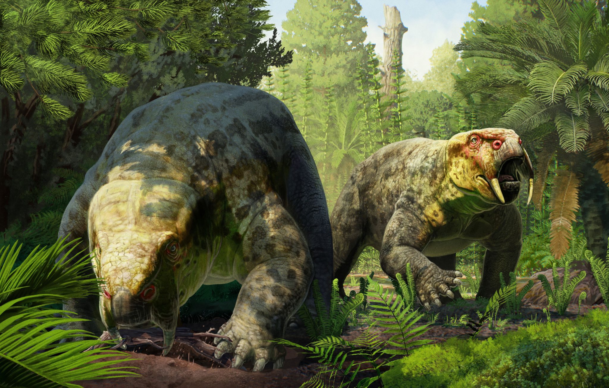 240-Million-Year-Old Fossil Relative of Mammals Rewrites Dinosaur Timeline