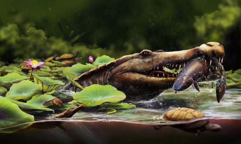 Scientists Discover Ancient 13-Foot-Long Crocodile Relative in Egypt