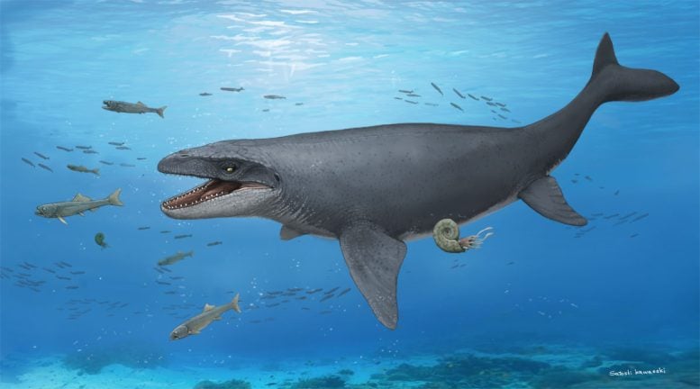 Life Reconstruction of the Mosasaur Specimen
