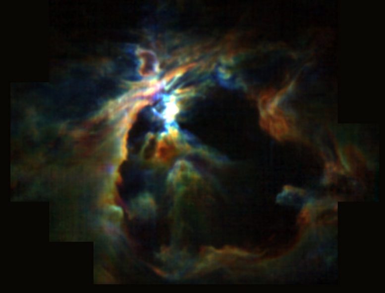 Lifting the Veil on Star Formation in the Orion Nebula