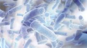 Light-Activated Coating Kills Bacteria