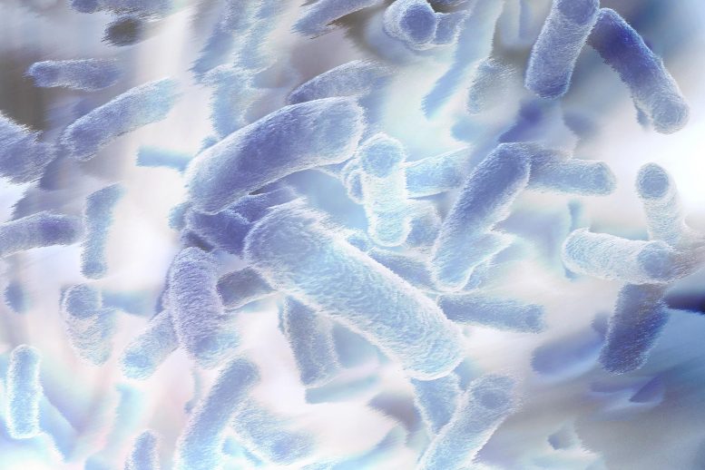 Light-Activated Coating Kills Bacteria