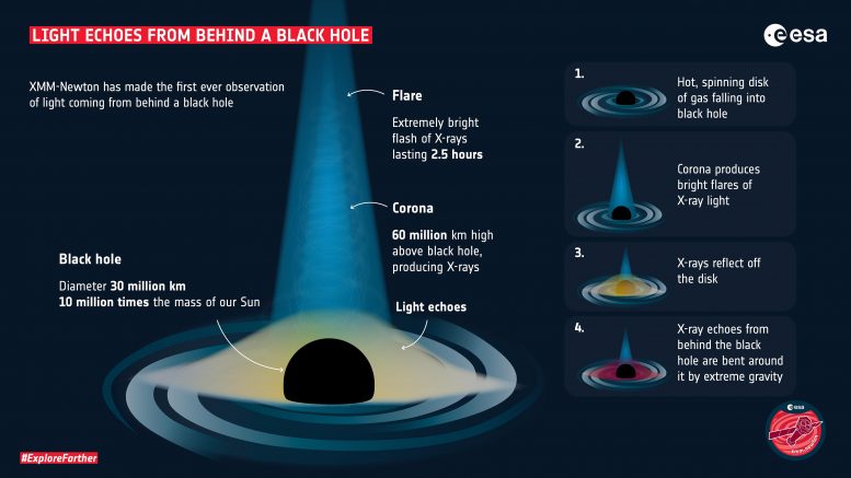 Echi di luce da dietro un buco nero