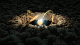 Light Echoes Give Clues to Protoplanetary Disk