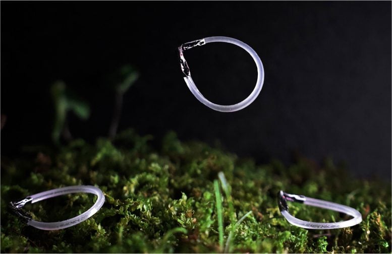 Light Powered Jumping Robots