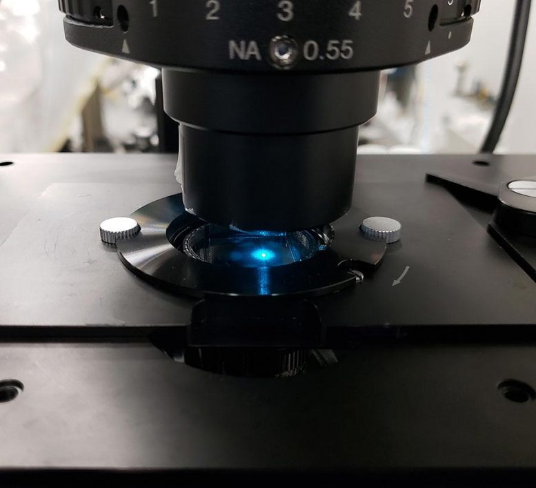 Microscopio invertito in materiale leggero restringente