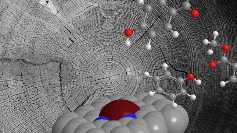 Lignin Based Catalyst Molecular Illustration