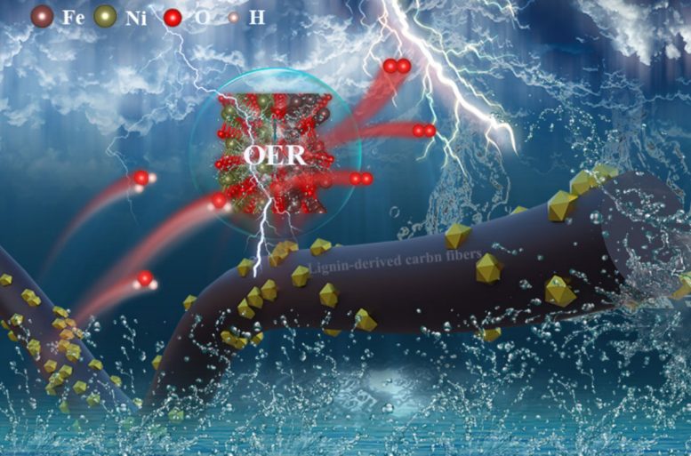 Lignin Derived Carbon Fibers Loaded With NiOFe3O4
