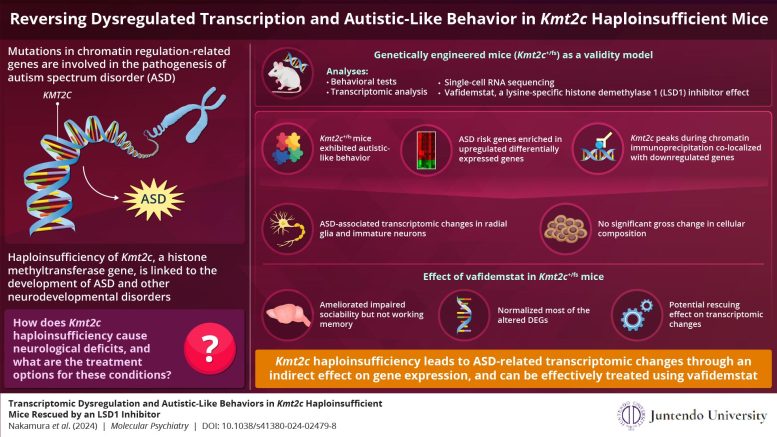 Link Between Transcriptomic Dysregulation and Autism Spectrum Disorder