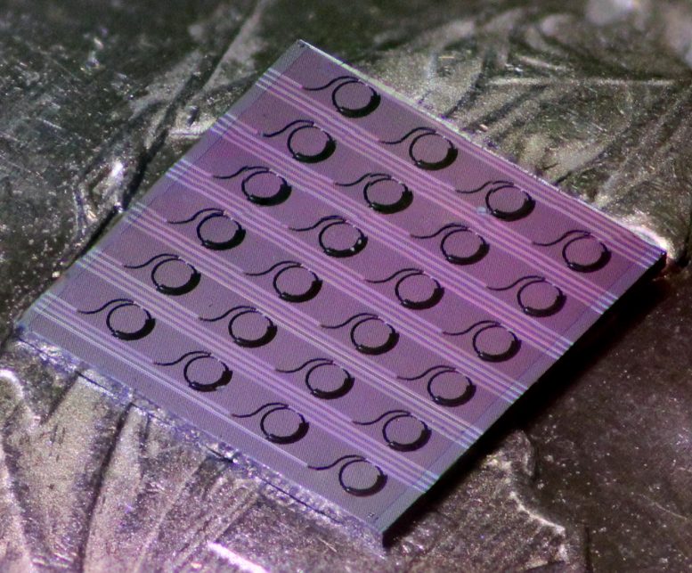 Lithium Niobate Integrated Photonics Chip