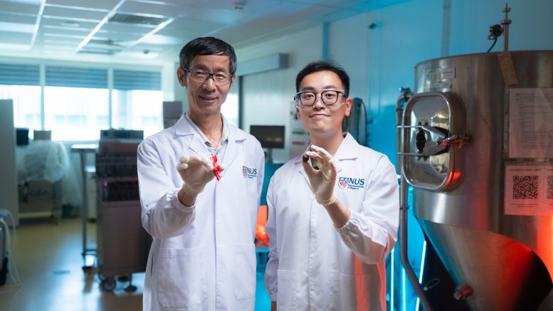 Liu Shao Quan and Manfred Ku