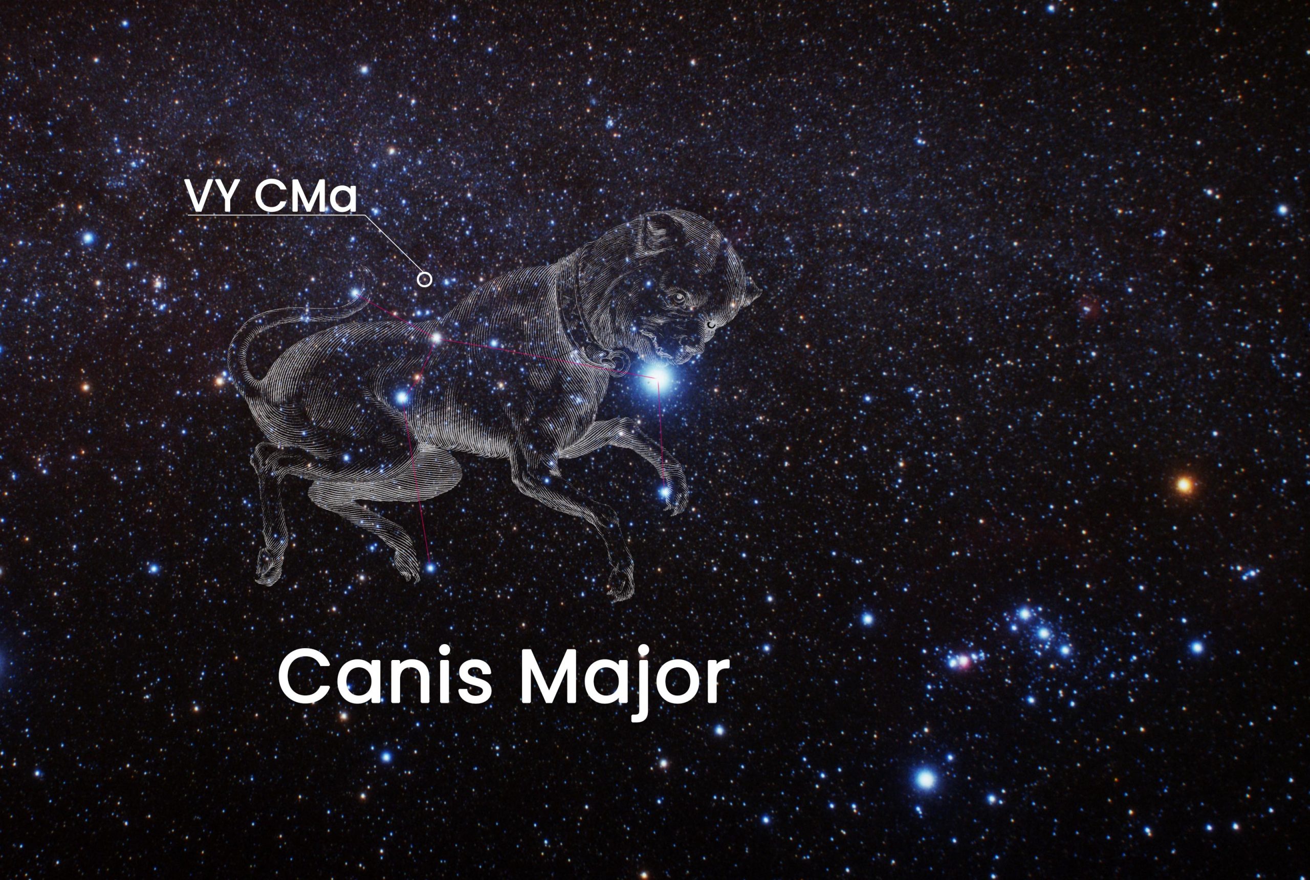 Яркая звезда в созвездии большого пса. Canis Majoris Созвездие. Канис Майорис звезда. Созвездие большого пса звезда vy. Vy в созвездии большого пса.