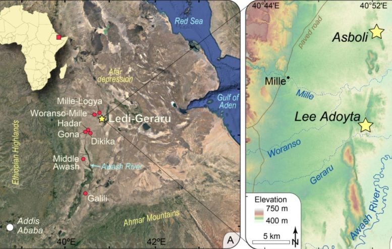 Umístění lokality Ledi Geraru a Australopithecus