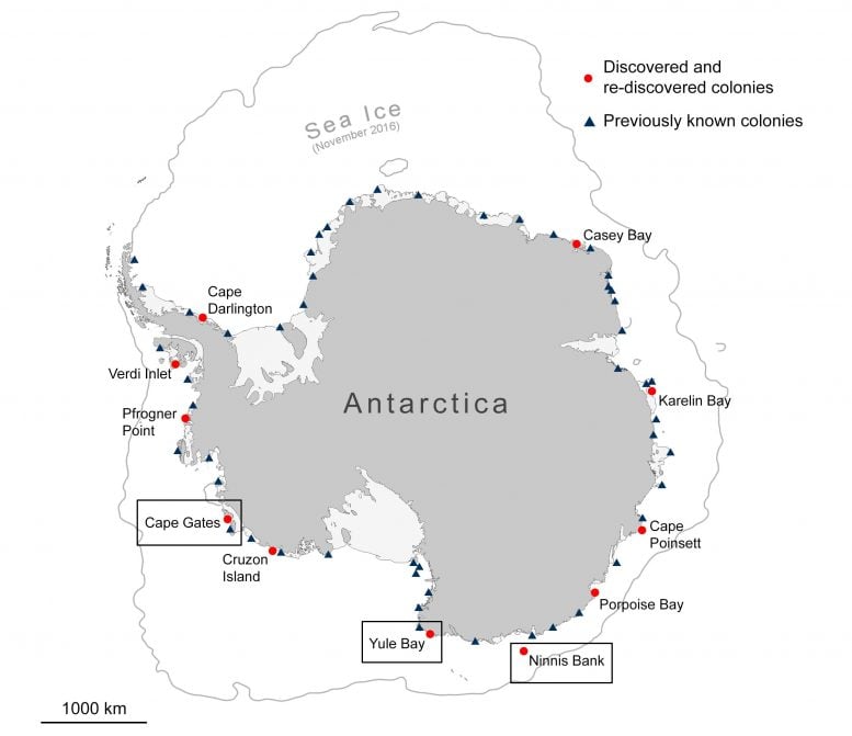 Locations of Penguin Colonies