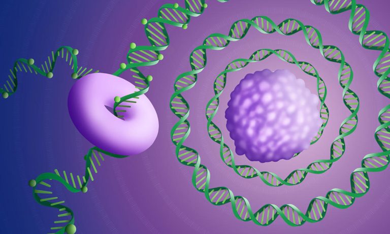 The “Long Read” for Cancer: A New, Broader Genomic View