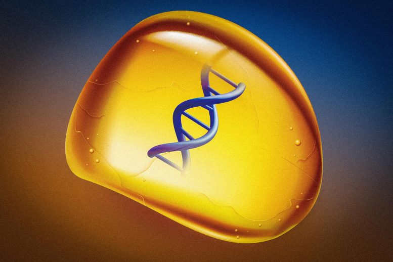 Long-Term Storage of DNA in Amber-Like Polymer