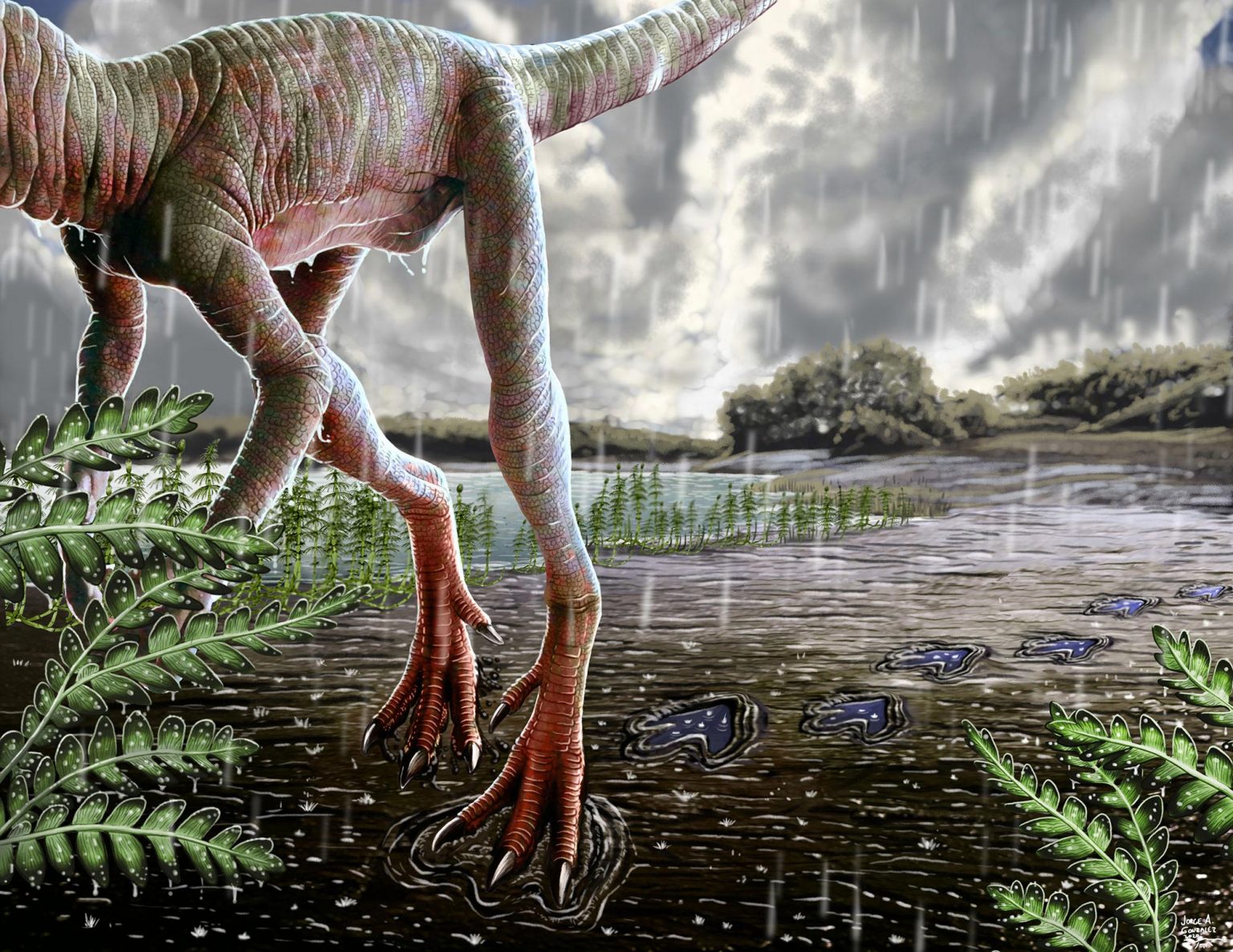 “Carnian Pluvial Episode” Revealed Climate Change During Origin of Dinosaurs