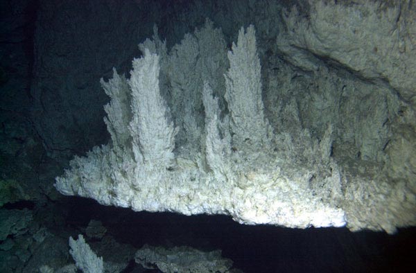 Lost City Hydrothermal Field