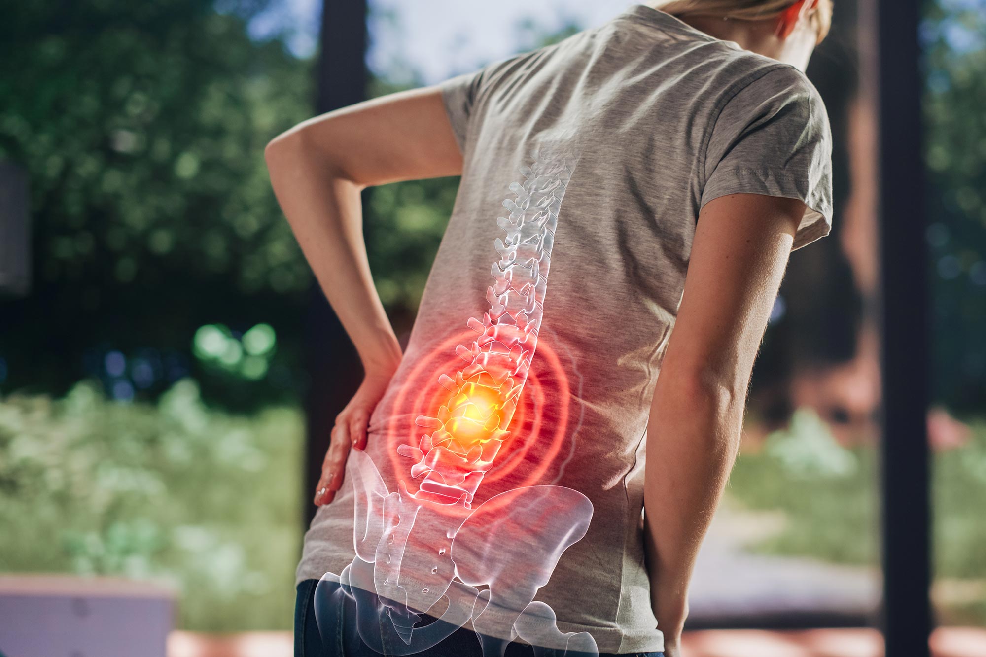 Scientists Discover a New Way To Stop Pain Nerves From Invading the Spine