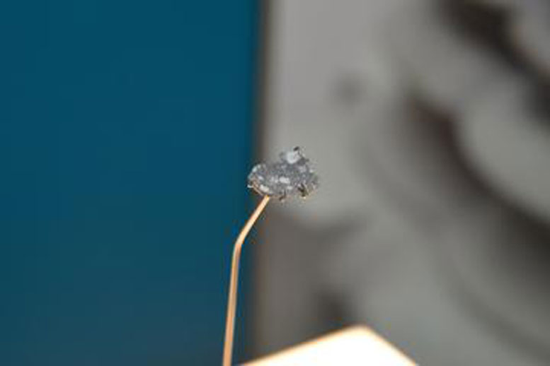 Lunar Meteorite
