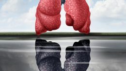 Lung Health Concept Illustration