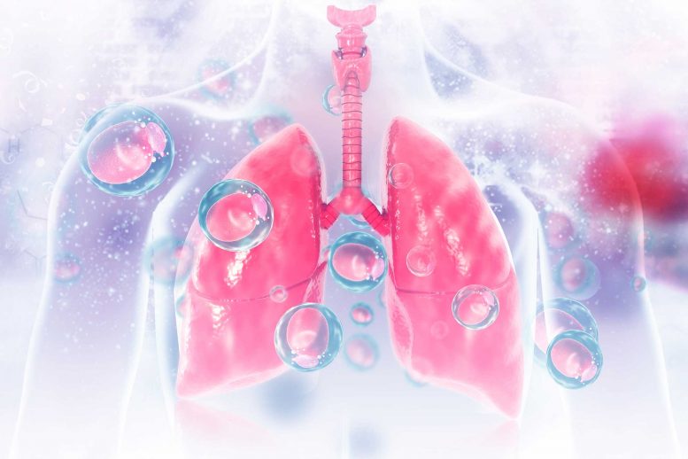 Lung Inflammation Illustration