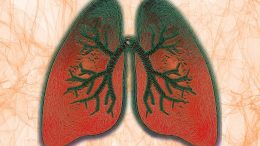 Lungs Breathing Illustration
