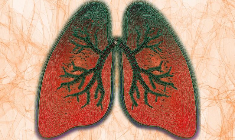 Lungs Breathing Illustration