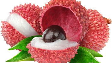 Photo of Lychee Genome