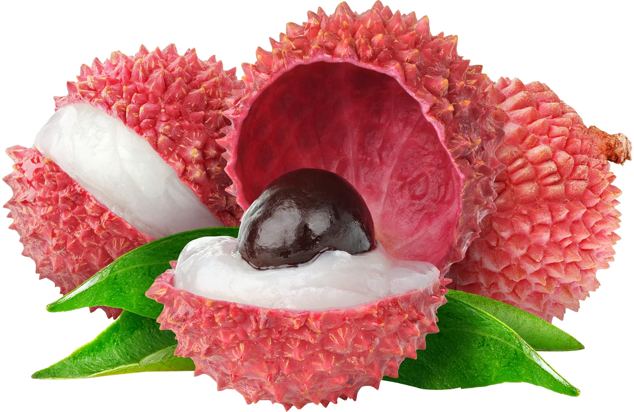 Lychee Genome Tells a Colorful Story About an Ancient Tropical Fruit thumbnail