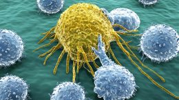 Lymphocytes Attacking Cancer Cell