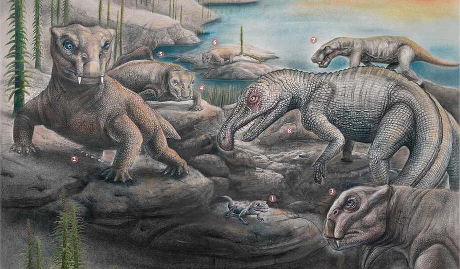 Monstrous 'gorgons' survived a mass extinction, but they were a