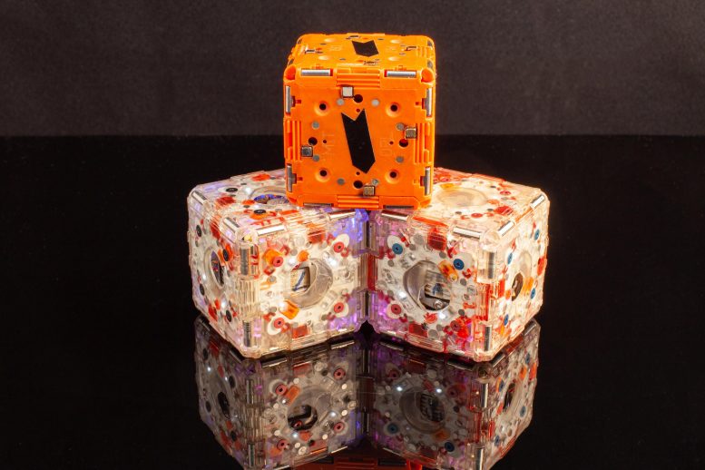 M-Block Modular Robotic Cubes